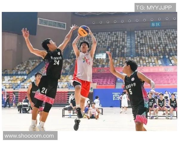 西安篮球队在精英赛中的个人能力分析与表现评估